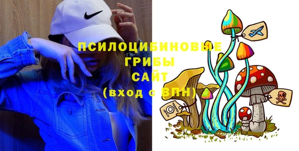 мдпв Абинск